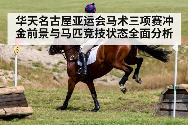 equestrian cross country horse jumping